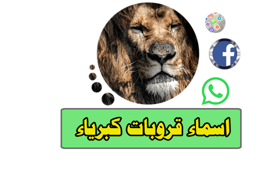 أسماء جروبات كبرياء